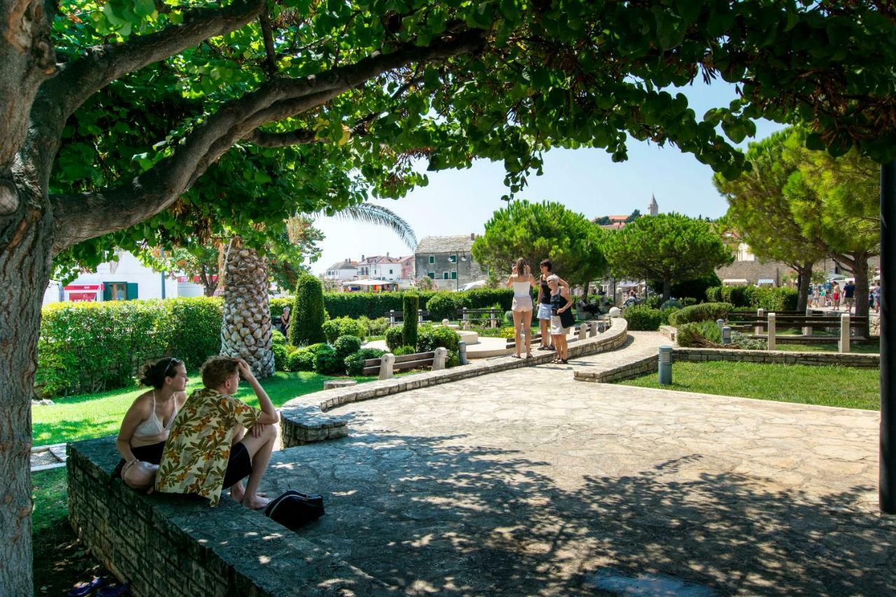 Apartman Dragica